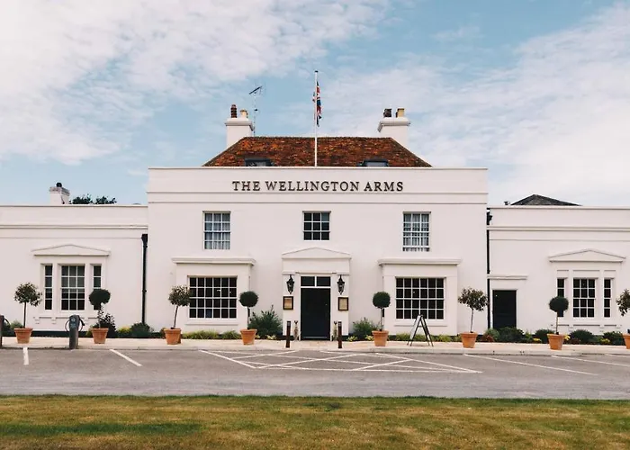 The Wellington Arms - Basingstoke-Reading